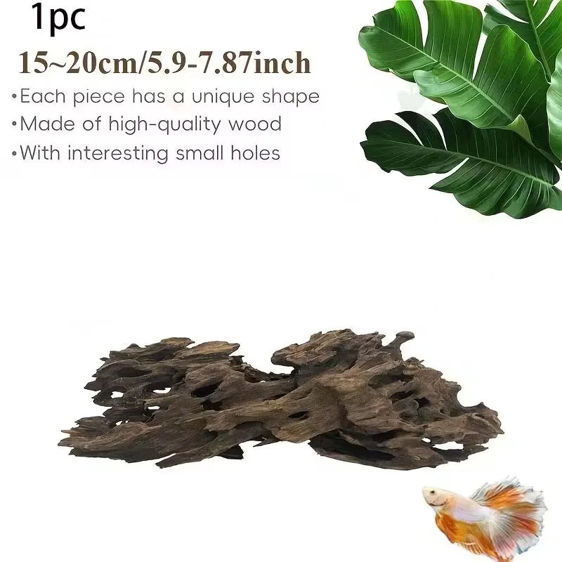 Bois Flotté Naturel Poreux pour Aquarium & Terrarium – Décoration Crevettes & Crabes, 10-20 cm
