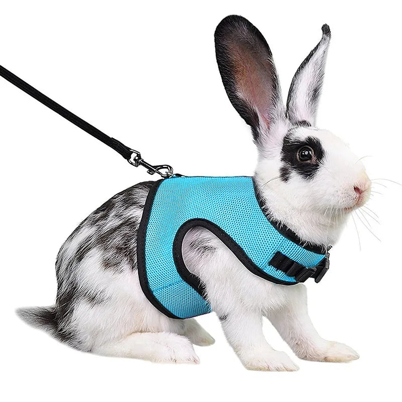 Harnais et laisse réglables pour lapin, chat et furet