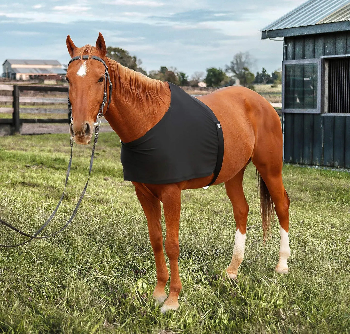 Gilet de protection poitrine et épaules pour cheval – Haute élasticité, anti-friction