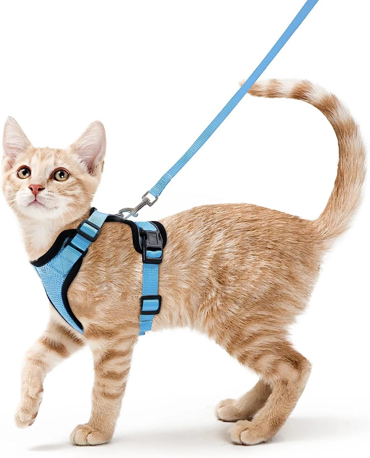 Kattenharnas en -riem, zacht en verstelbaar ontsnappingsbestendig vesttuigje voor katten, EasyControl