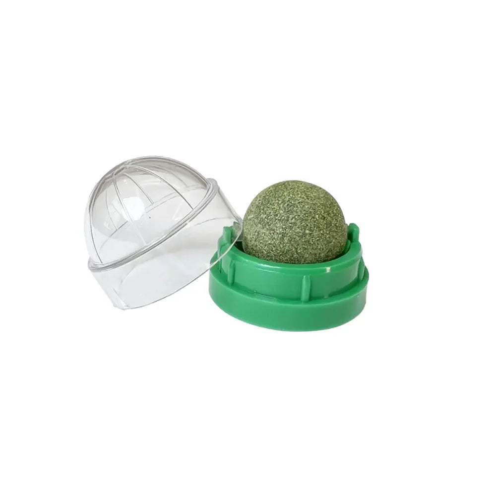 Balle Griffoir Murale au Catnip pour Chat — Stimulante & Digestive