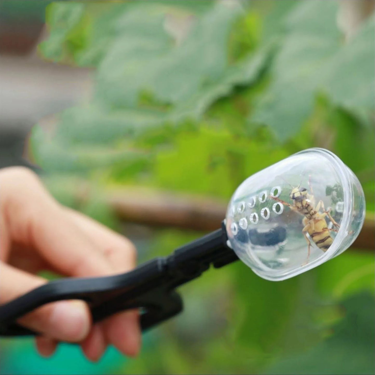 Pince à Insectes Transparente pour Reptiles – Capture Vivante, Plastique ABS, Tortue & Lézard