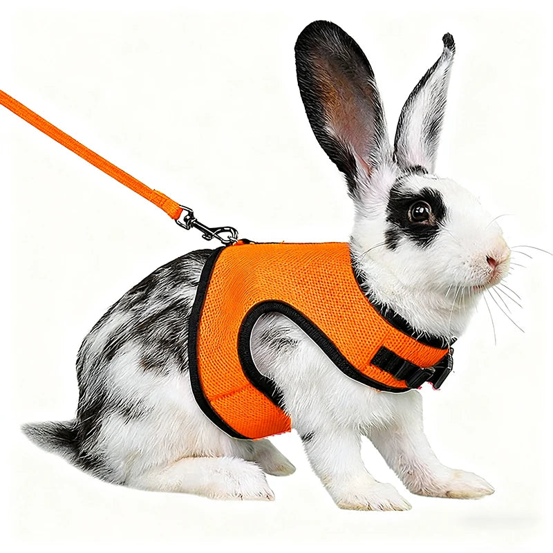 Harnais & Laisse Réglables pour Lapin, Chat ou Furet – 6 Couleurs