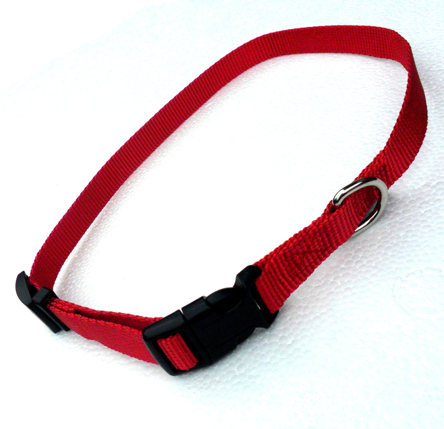 Collier Réglable en Nylon pour Chien – 4 Couleurs