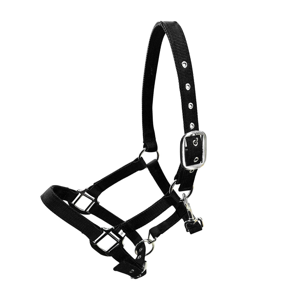 Licol Réglable Anti-Rouille pour Poney & Cheval – Alliage de Zinc, 3 Couleurs, XS à XL