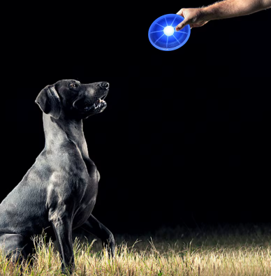 Lichtgevende Hondenfrisbee – Onbeperkt speelplezier, zelfs 's nachts