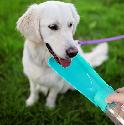 Hondenwaterfles – Gemakkelijk hydrateren, overal en altijd