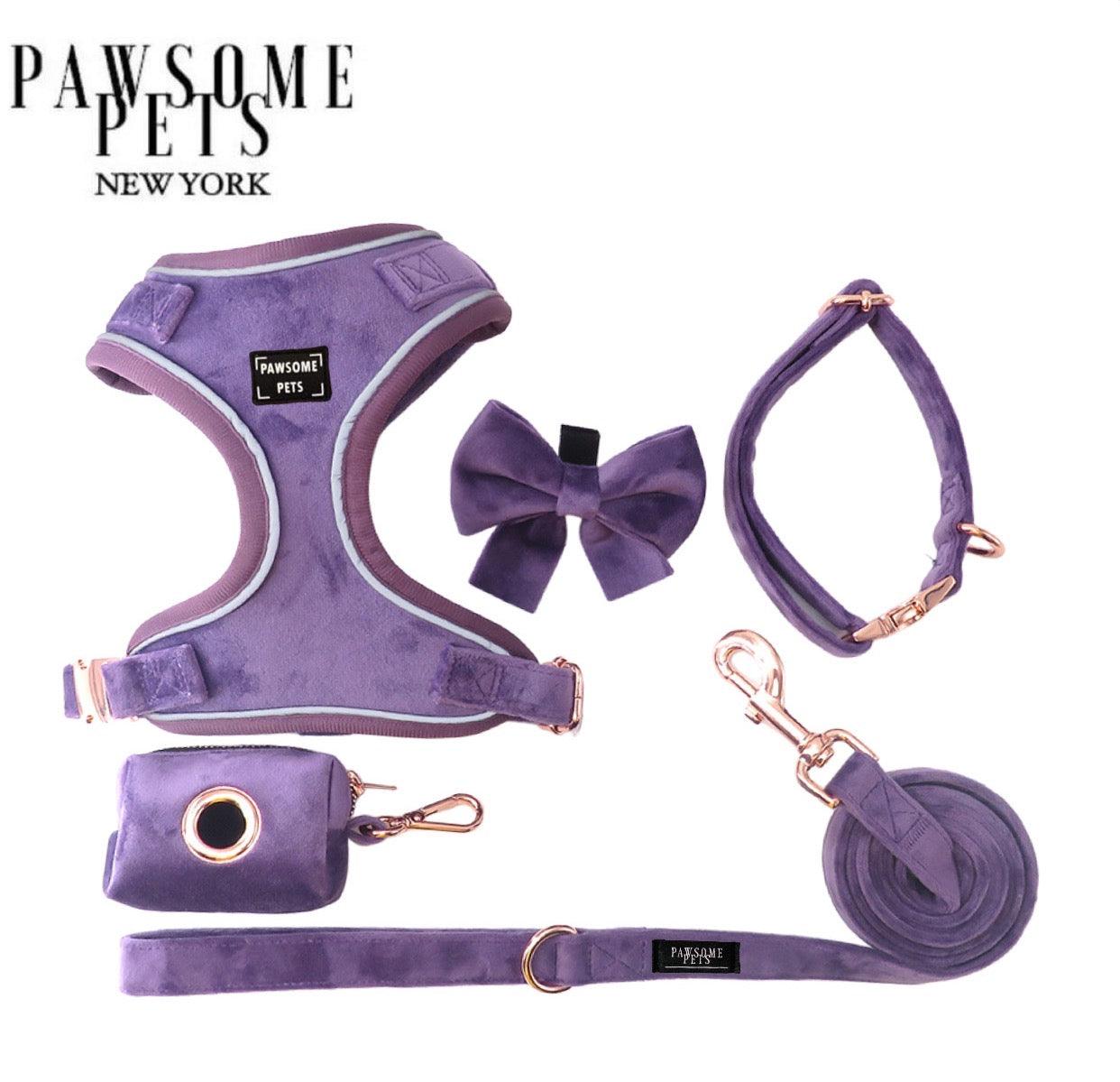 LOT HARNAIS - VIOLET