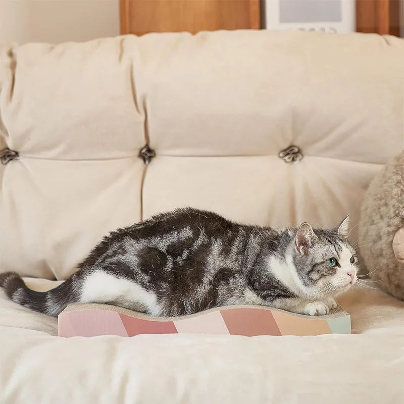Grattoirs résistants pour chats, protection des meubles, anti-griffures, aiguiseur de griffes pour canapé, accessoires, jouets pour lit et articles pour chats