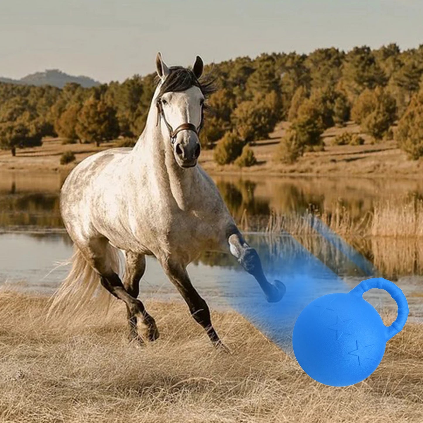 Balle de Jeu en Caoutchouc pour Cheval  — 25 cm, Parfumée, Gonflable