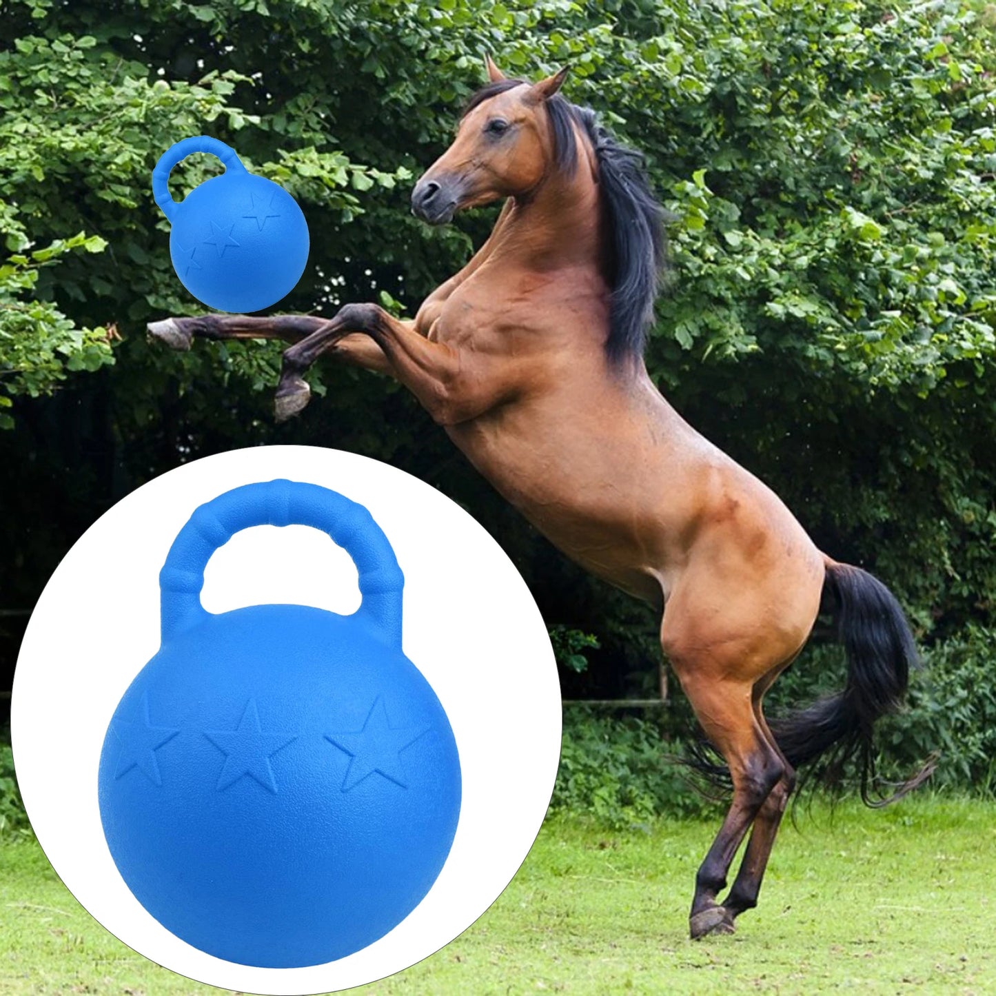 Balle de Jeu en Caoutchouc pour Cheval  — 25 cm, Parfumée, Gonflable
