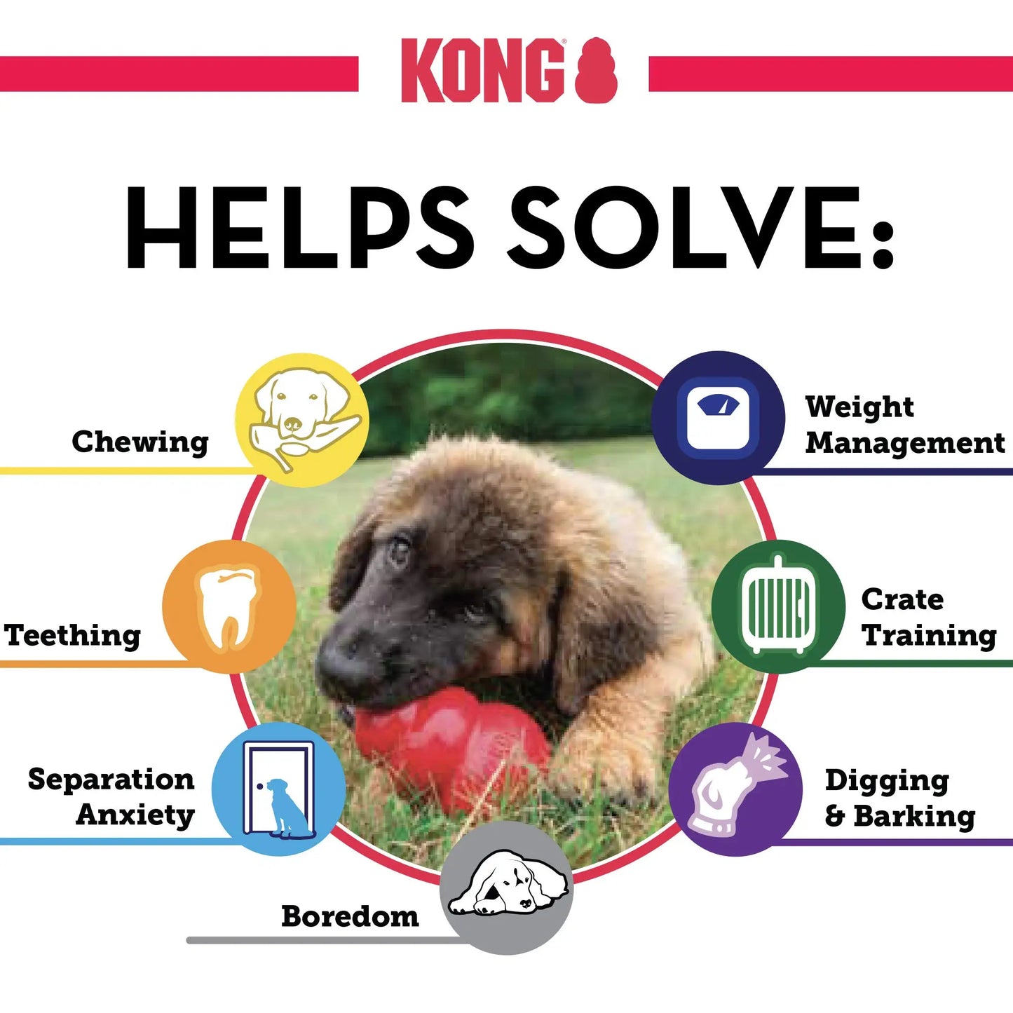 KONG Extreme – Jouet à mâcher en caoutchouc naturel pour chien