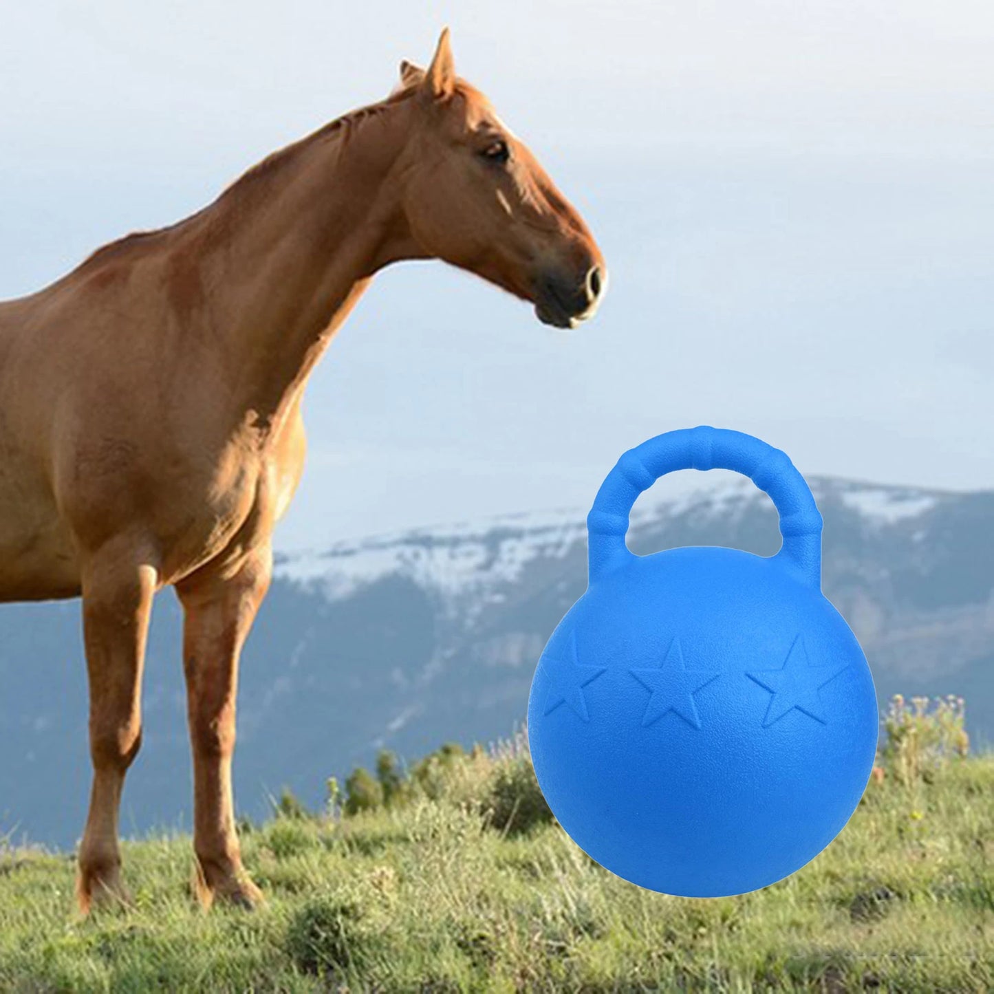 Balle de Jeu en Caoutchouc pour Cheval  — 25 cm, Parfumée, Gonflable