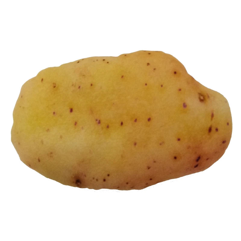 Jouet de Simulation pour chien, jeu amusant, chiot, grincement, pomme de terre, poulet, saucisse, conception d'os, jouets en peluche pour petits chiens