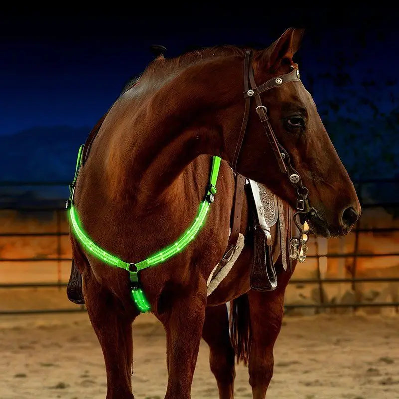 Harnais LED pour Cheval – Nylon, Visible de Nuit, Rechargeable USB, Rouge / Bleu / Vert