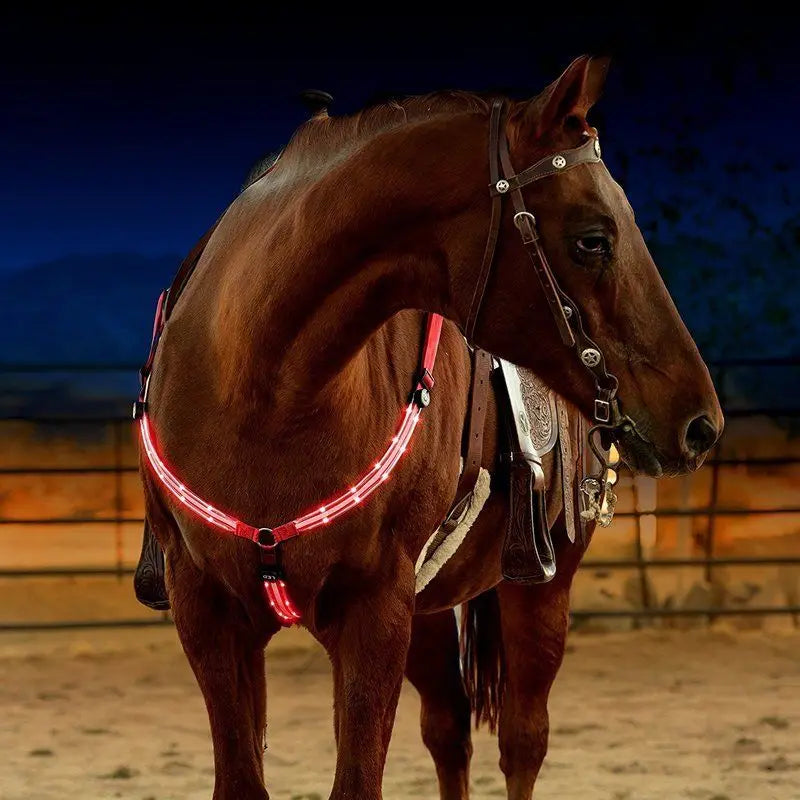 Harnais LED pour Cheval – Nylon, Visible de Nuit, Rechargeable USB, Rouge / Bleu / Vert