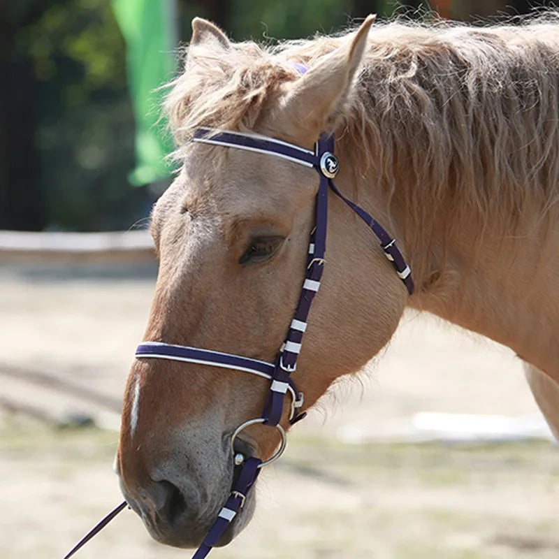 Bride complète pour cheval – Nylon PVC résistant au froid
