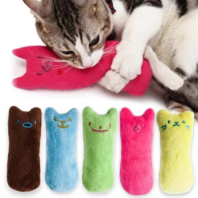 Jouet à Mâcher à l'Herbe-aux-Chats en Peluche – 6 Couleurs