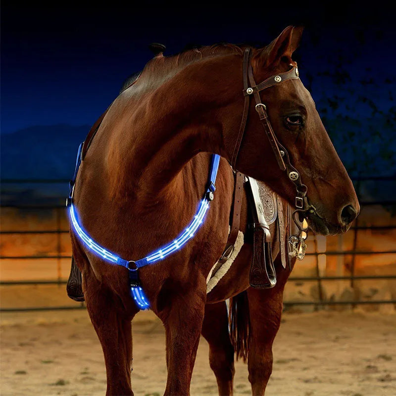 Harnais LED pour Cheval – Nylon, Visible de Nuit, Rechargeable USB, Rouge / Bleu / Vert