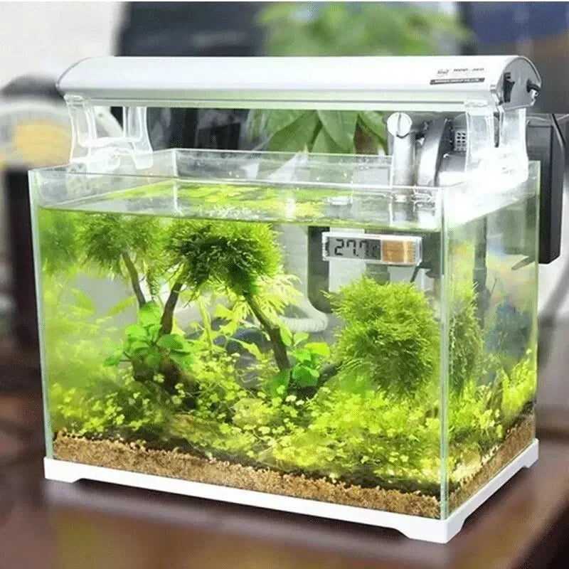 Thermomètre Digital Adhésif pour Aquarium – Affichage LCD Transparent, ±0,1°C, Or / Argent
