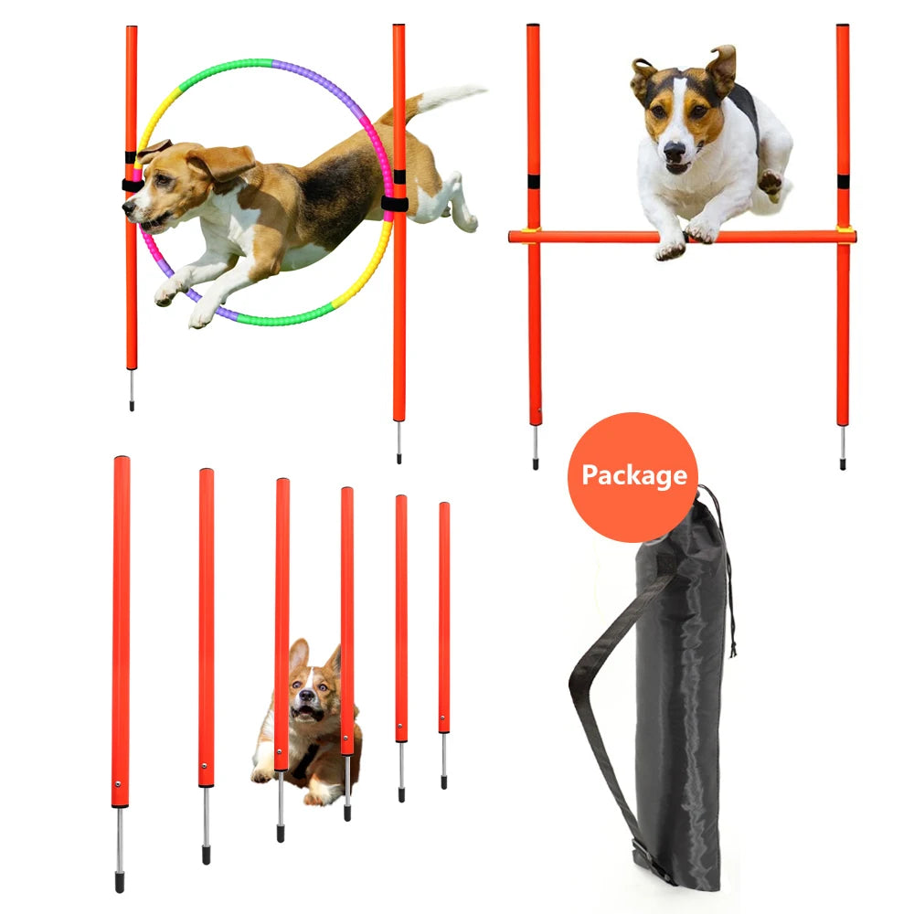 Kit d'Agilité pour Chien – Obstacles & Piquets d'Entraînement Portables
