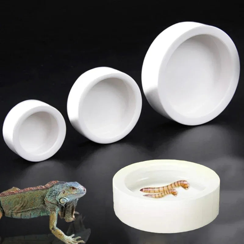 Coupelle en Céramique Anti-Évasion pour Reptiles – Gamelle Eau & Nourriture, S / M / L