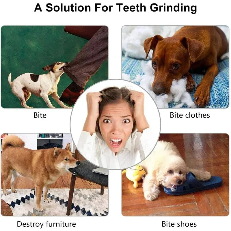 Balle Caoutchouc pour Chien – Non Toxique, Distributrice de Friandises, Nettoyage Dentaire