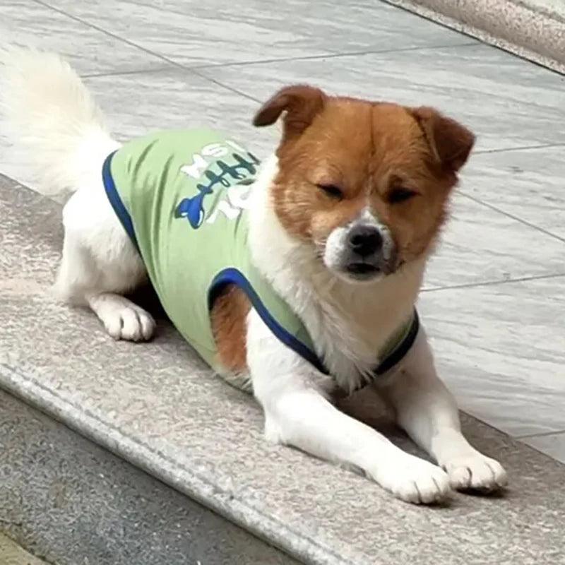Gilet d'Été en Coton pour Chien & Chat – Motifs Imprimés, Tailles XS à XL