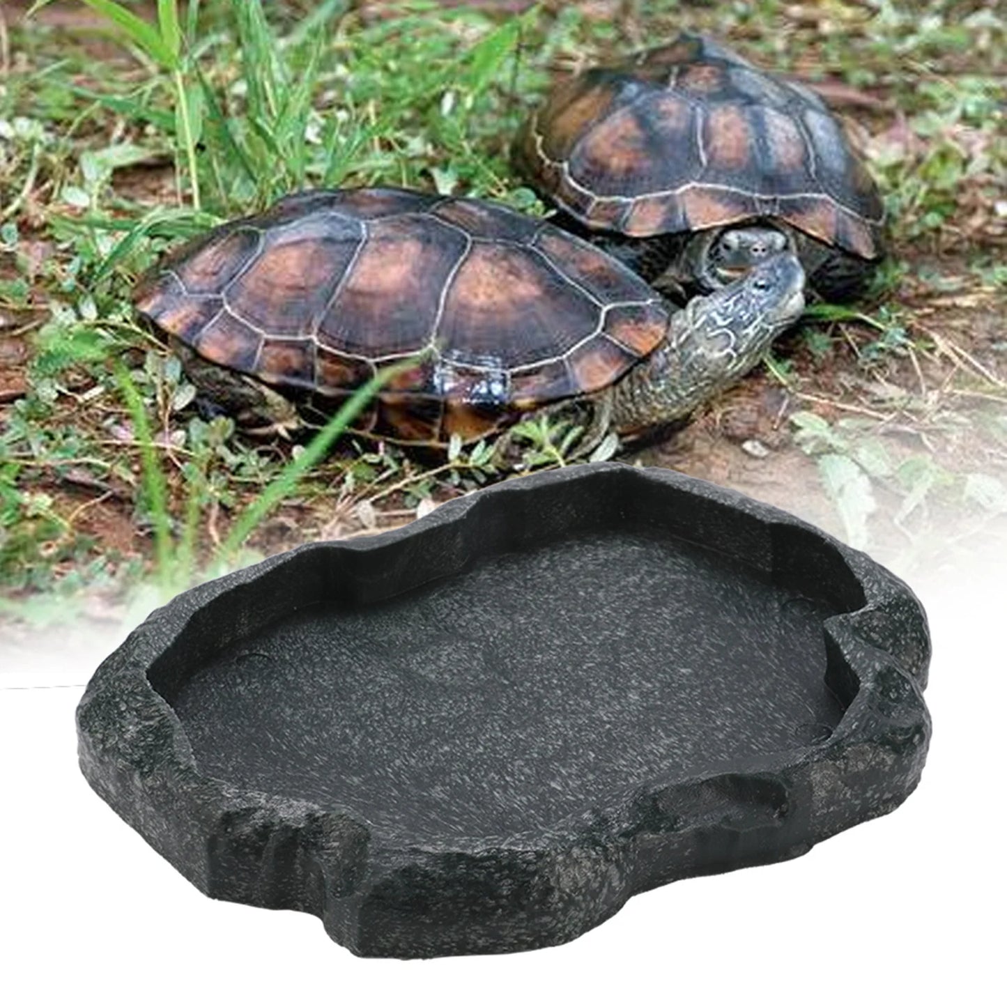 Bol Imitation Roche en Résine ABS pour Reptiles – Alimentation & Eau