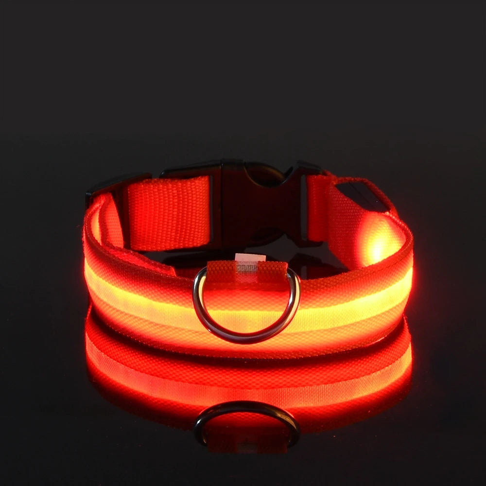 Collier LED Fluorescent pour Chien — Sécurité Nocturne, Nylon, 7 Coloris