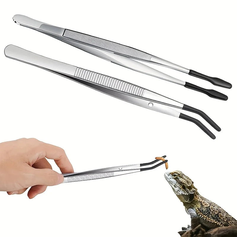 Pince d'Alimentation Inox pour Reptiles – Plate ou Courbée, 27 cm