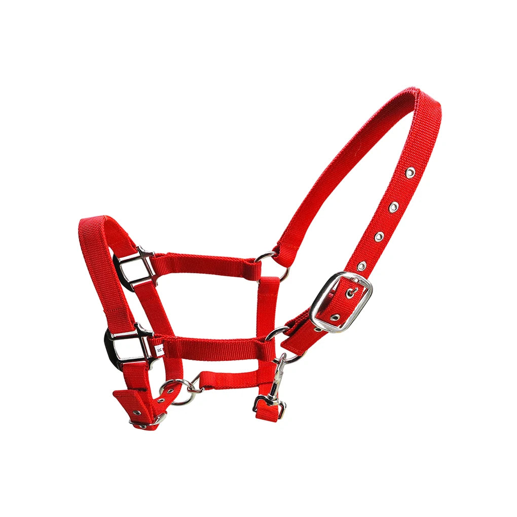 Licol Réglable Anti-Rouille pour Poney & Cheval – Alliage de Zinc, 3 Couleurs, XS à XL