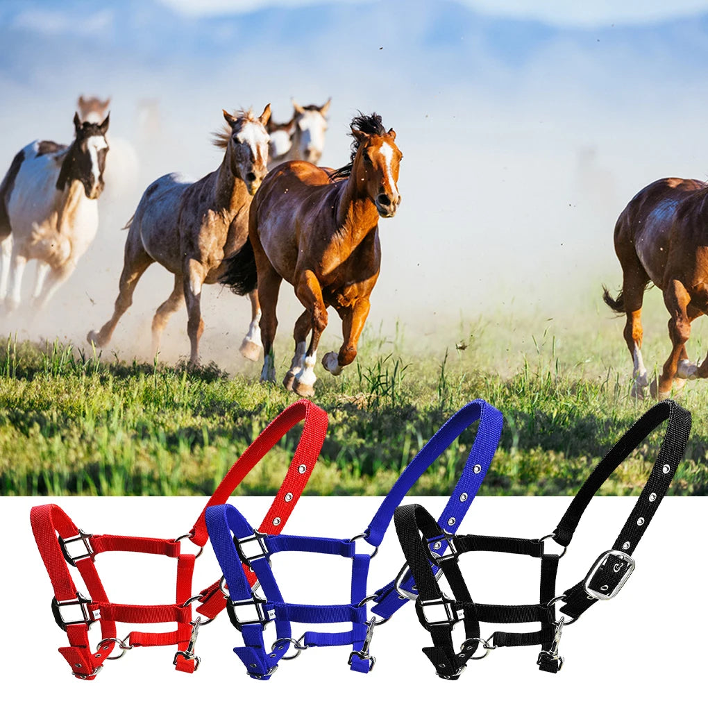 Licol Réglable Anti-Rouille pour Poney & Cheval – Alliage de Zinc, 3 Couleurs, XS à XL