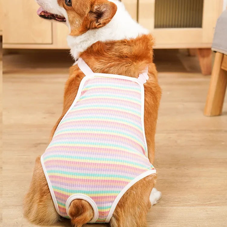 Culotte Physiologique Réglable pour Chienne – Lavable, Toutes Saisons