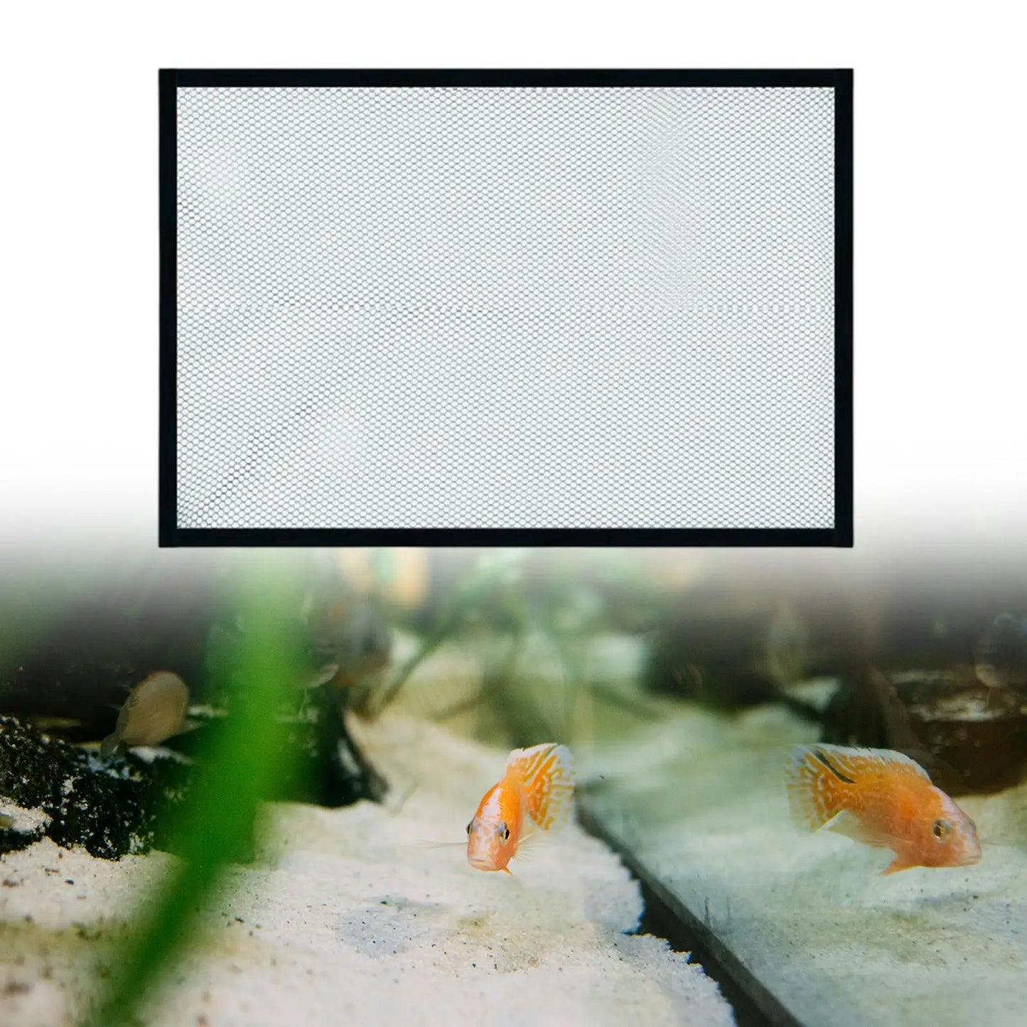 Couvercle Filet Anti-Saut Magnétique pour Aquarium – Polyester, Maille 5 mm, 4 Tailles