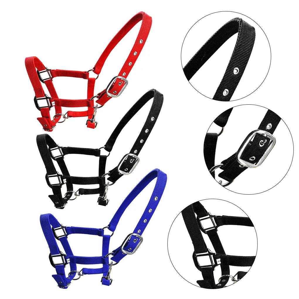 Licol Réglable Anti-Rouille pour Poney & Cheval – Alliage de Zinc, 3 Couleurs, XS à XL