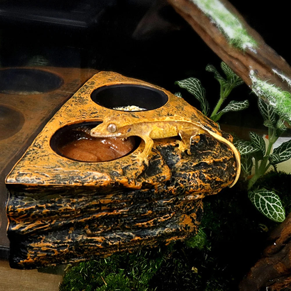 Rebord d'Alimentation Magnétique pour Reptiles – Simple ou Double