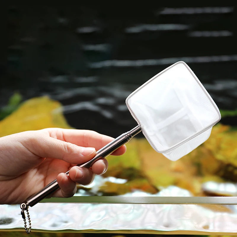 Épuisette pour Aquarium avec Manche Télescopique & Ventouse – Anti-Rouille, S / L