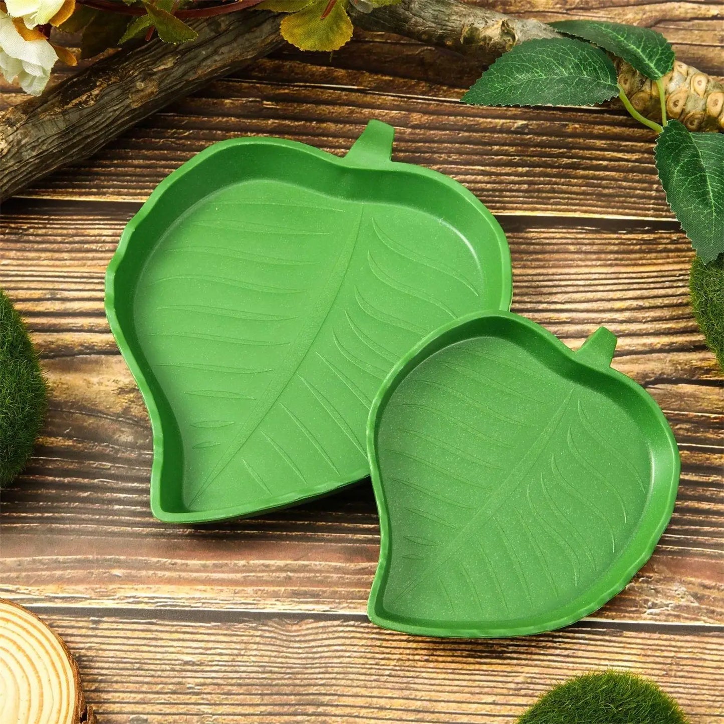 Gamelle en Forme de Feuille pour Reptiles – Eau & Nourriture, PP, S / L