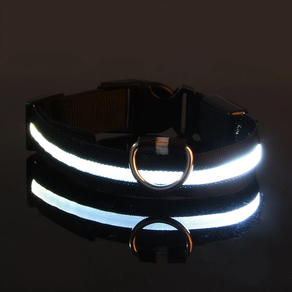 Collier LED Fluorescent pour Chien — Sécurité Nocturne, Nylon, 7 Coloris