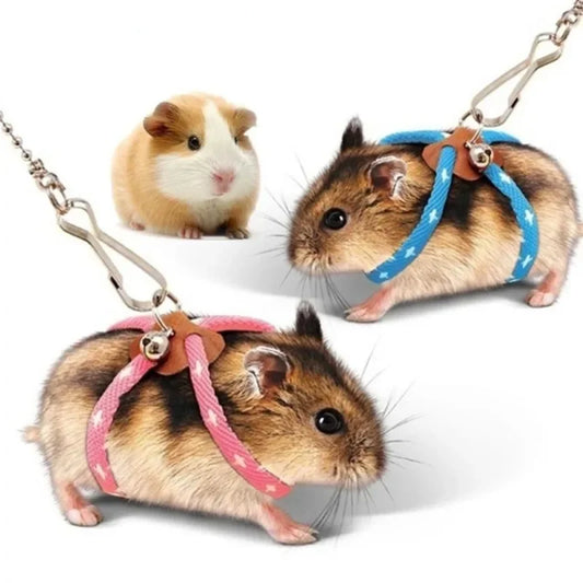 Harnais avec clochette pour petits animaux