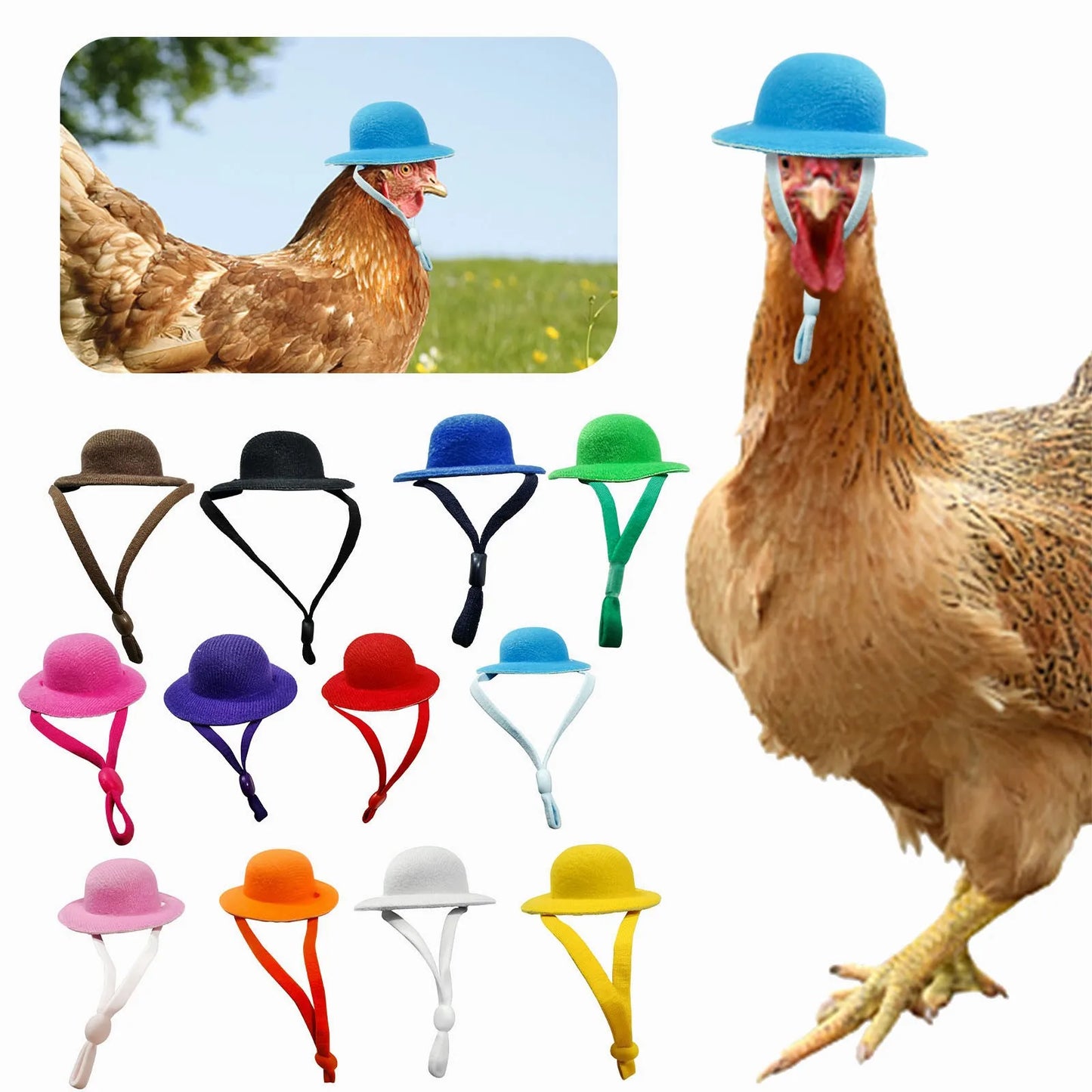 Mini Chapeau à Plumes pour Poule & Petits Animaux – 12 Couleurs
