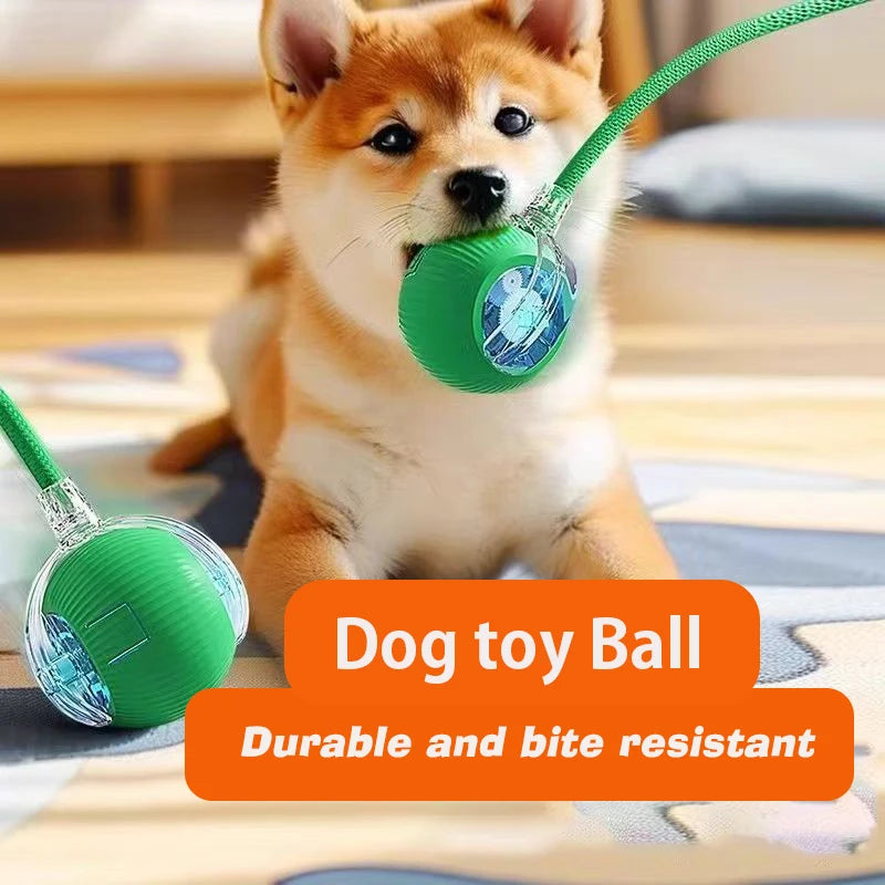 Balle Interactive Automatique pour Chien – Rechargeable USB-C, 3 Modes, Évitement d'Obstacles