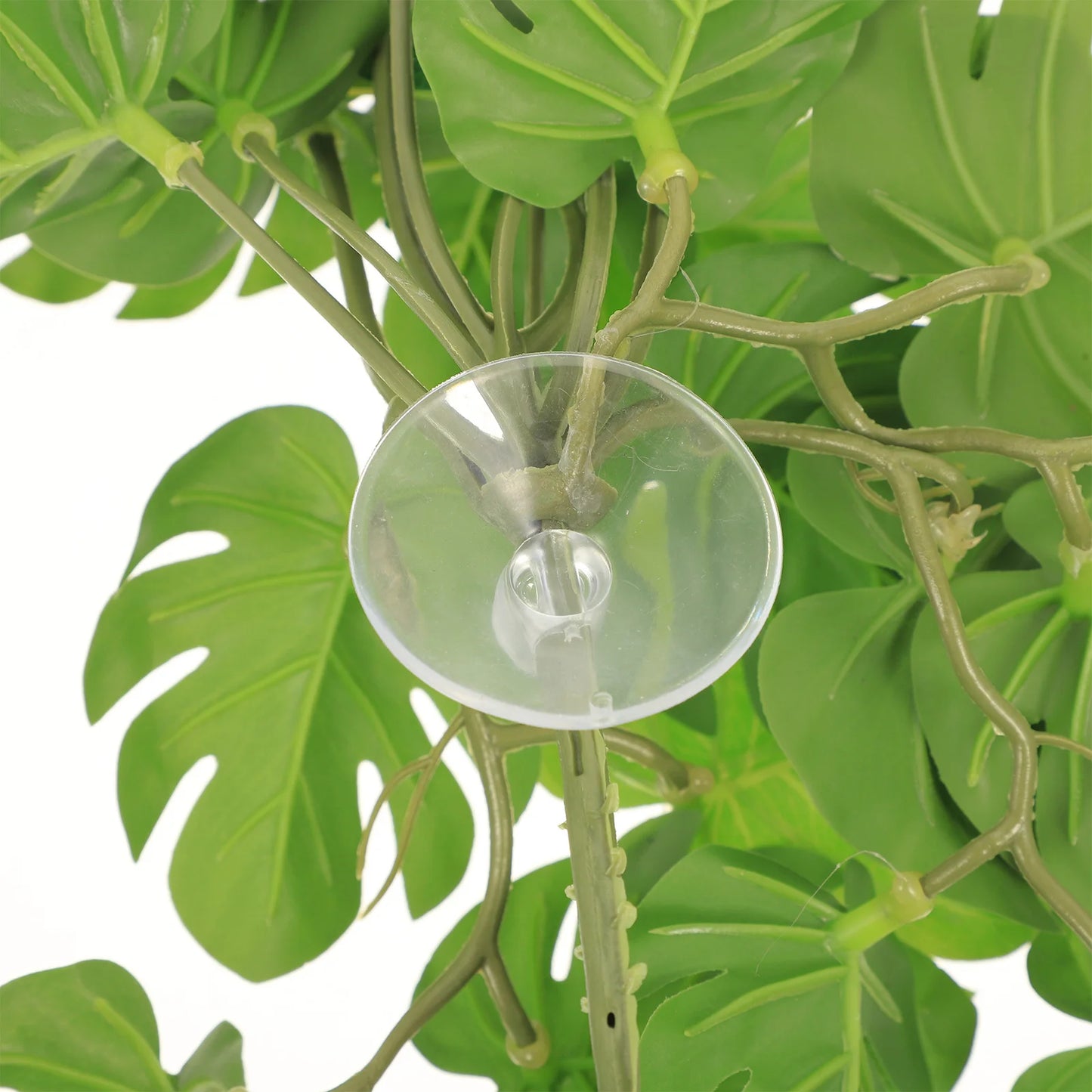 Plante Artificielle en Feuille pour Terrarium & Aquarium – Décor Reptiles & Amphibiens