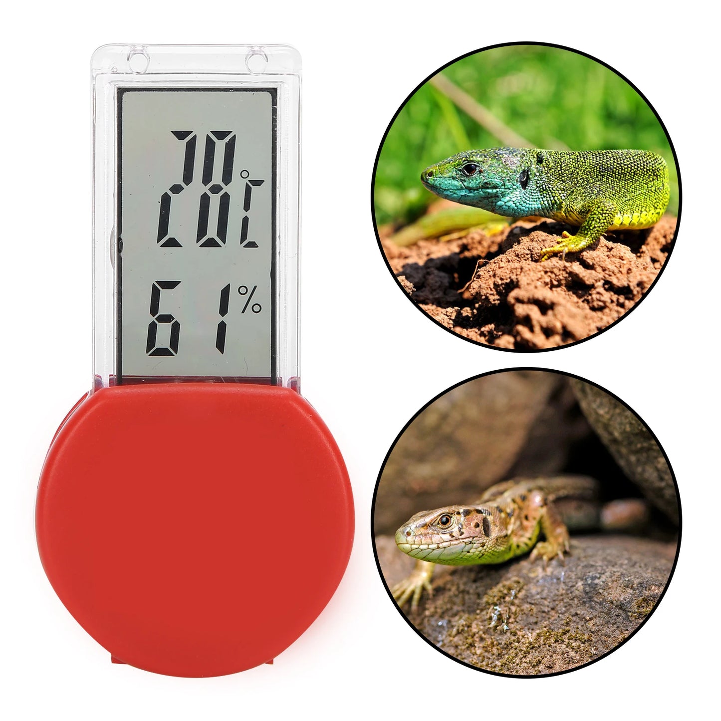 Thermomètre Hygromètre Digital pour Terrarium Reptiles – Affichage Température & Humidité, IP5, Ventouse