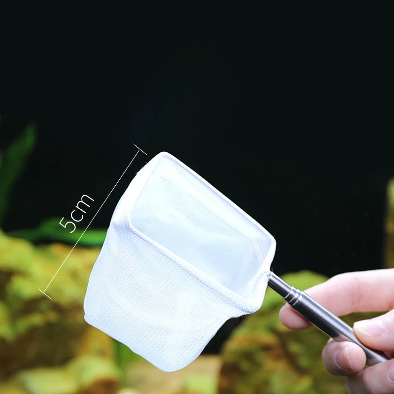 Épuisette pour Aquarium avec Manche Télescopique & Ventouse – Anti-Rouille, S / L