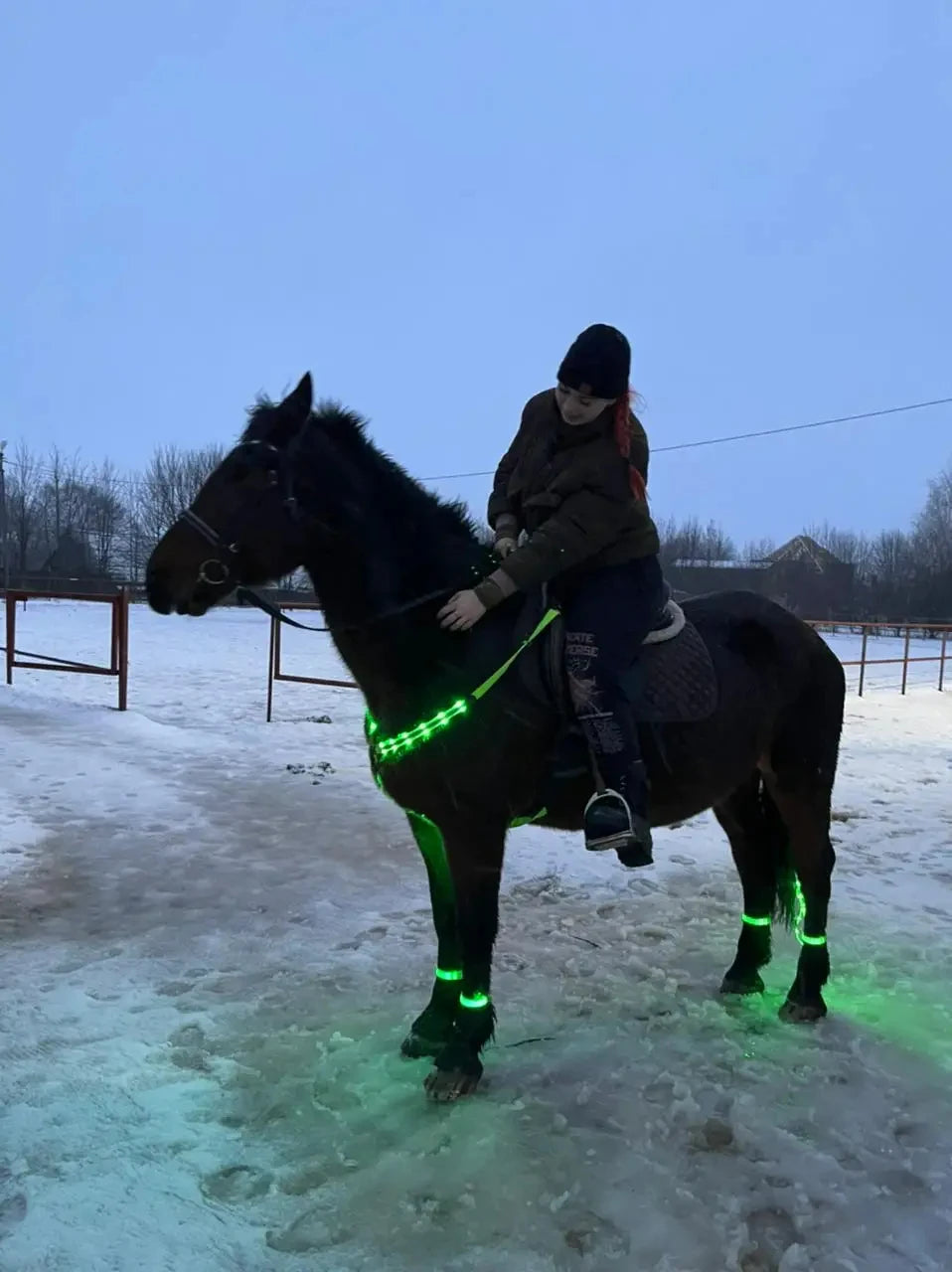 Harnais LED pour Cheval – Nylon, Visible de Nuit, Rechargeable USB, Rouge / Bleu / Vert