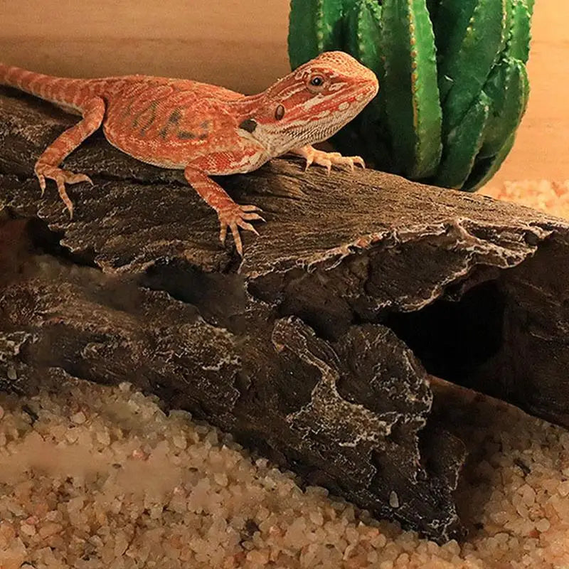 Grotte Cachette pour Reptiles – Décor Naturel pour Terrarium