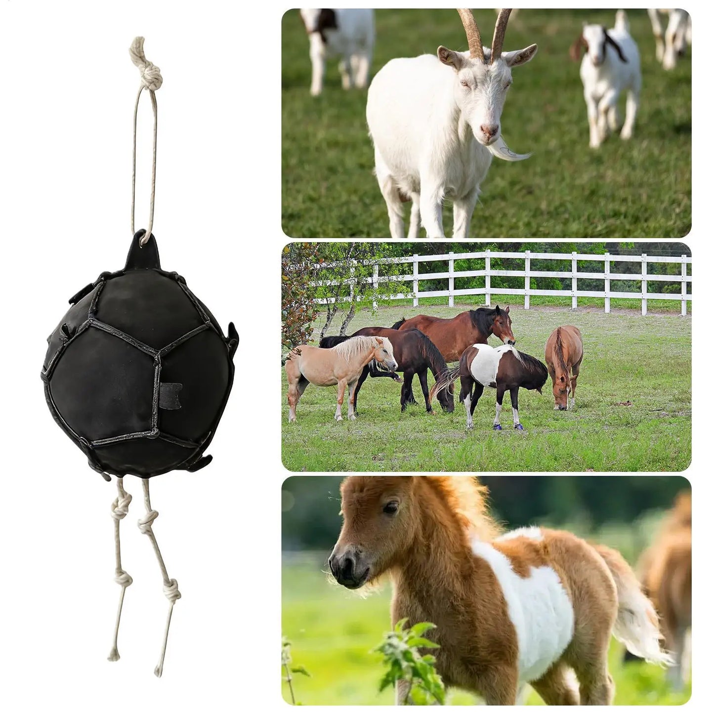 Boule de foin interactive pour cheval — Distributeur anti-ennui
