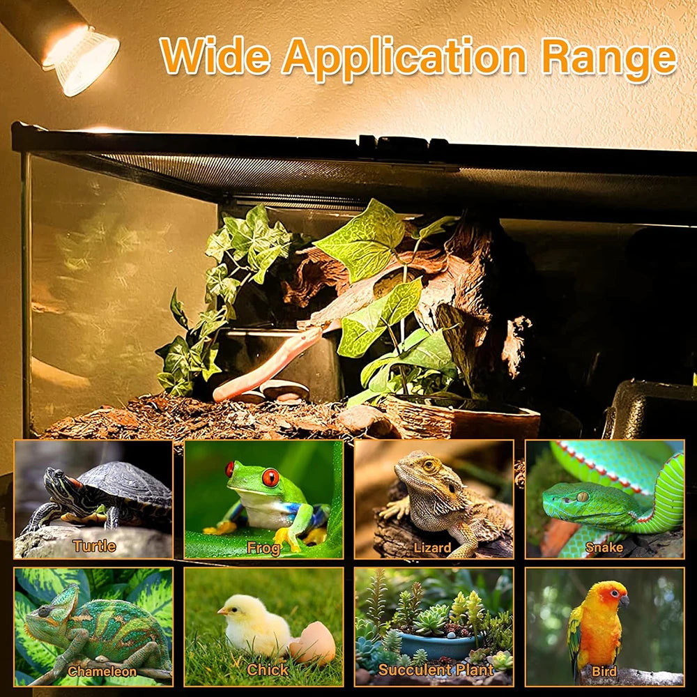 Lampe Chauffante UVA/UVB pour Reptiles – 50W, Spot Rotatif Dimmable